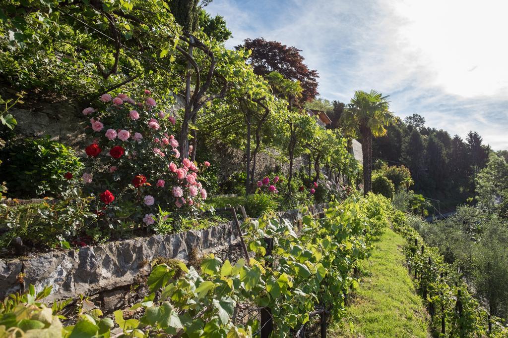 Villa Paradiso Cannero Riviera Εξωτερικό φωτογραφία