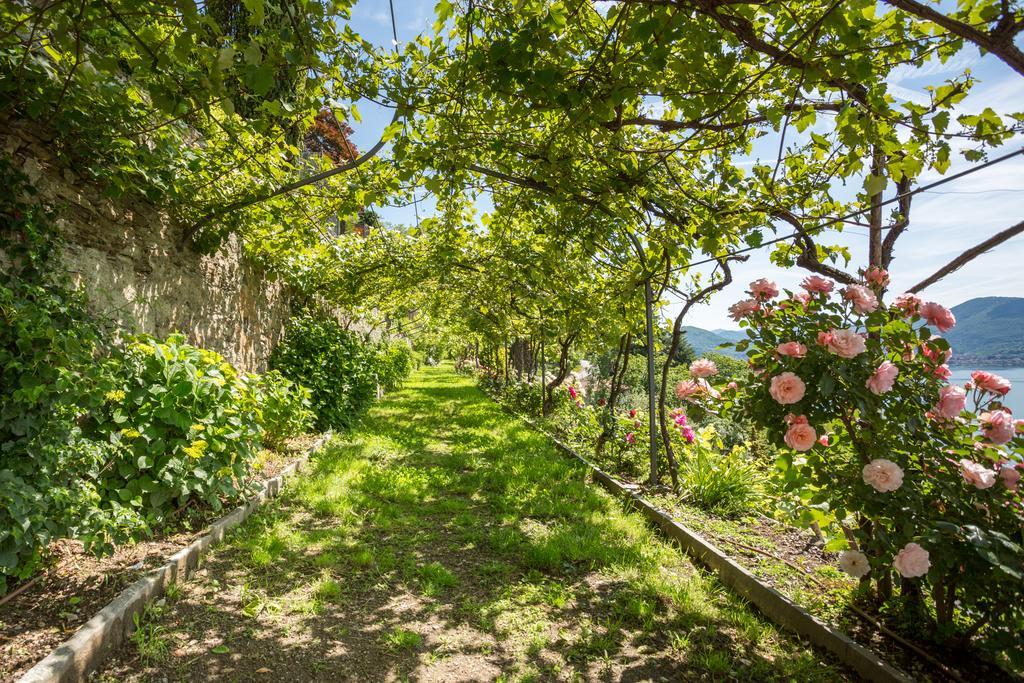 Villa Paradiso Cannero Riviera Εξωτερικό φωτογραφία